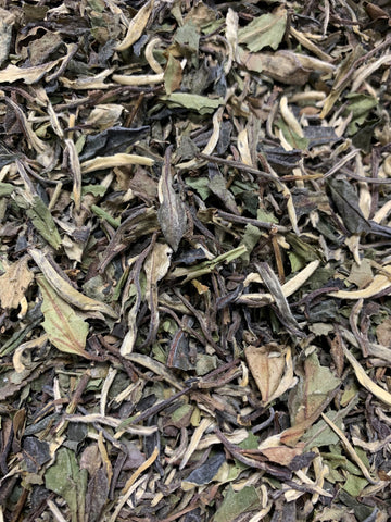 Cream Earl Grey White