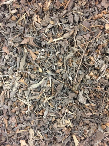 Holy Basil (Tulsi) - Krishna, Organic