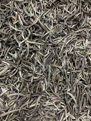 Malawi Silver Needle