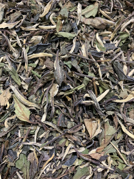 Cream Earl Grey White