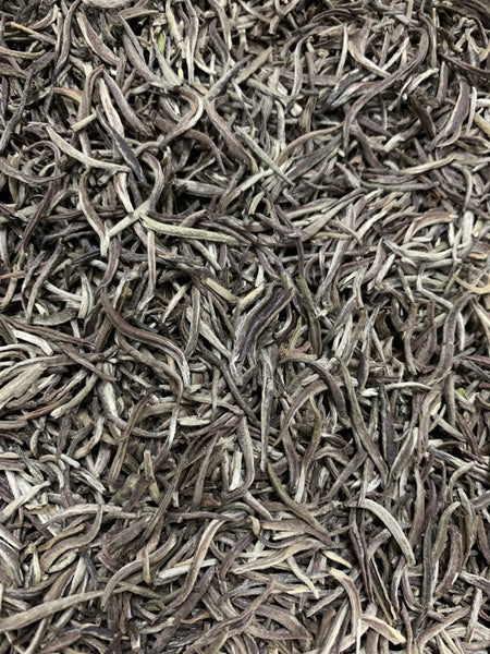 Malawi Silver Needle