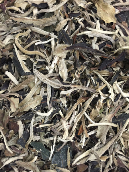 Silver Moonlight Serenade