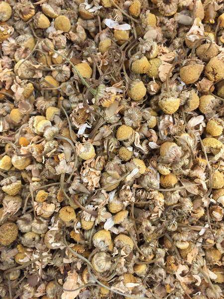 Chamomile, Organic