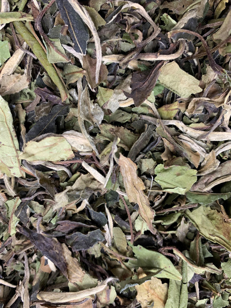 Pai Mu Tan, Organic
