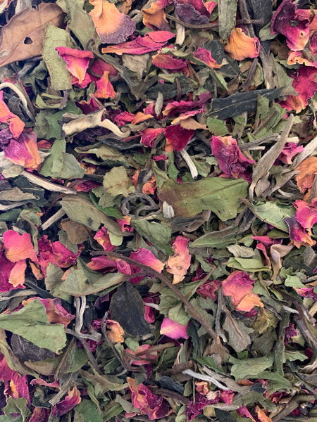 Tranquility Rose, Organic